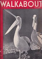 EARLY SEALING DAYS  (in Walkabout Magazine Vol. 9, No. 3)