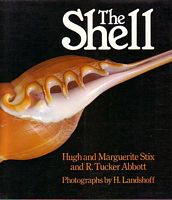 THE SHELL