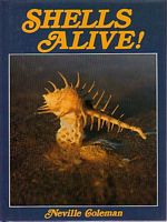 SHELLS ALIVE!