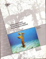 BIOSEDIMENTOLOGIE DU GRAND LAGON NORD DE LA NOUVELLE-CALEDONIE