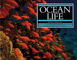 OCEAN LIFE