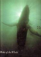 WAKE OF THE WHALE