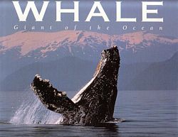 WHALE: Giant of the Ocean