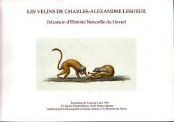 LES VELINS DE CHARLES-ALEXANDRE LESUEUR (Mus&eacute;um d'Histoire Naturelle du Havre)