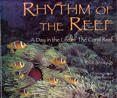 RHYTHM OF THE REEF - A Day in the Life of the Coral Reef