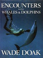 ENCOUNTERS WITH WHALES & DOLPHINS