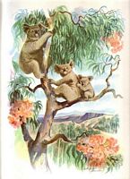 S.S. MARIPOSA - MENU