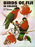BIRDS OF FIJI IN COLOUR
