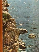 LA VIE FANTASTIQUE DES ILES ET DES OCEANS