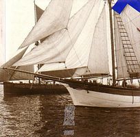 NAUTICA FENNICA 1995  -  A WOMAN AT SEA - Women on the Sailing Ships of Gustaf Erikson 1913-1937 / REPAIRING TRADITIONAL SHIPS