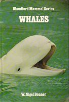 WHALES