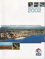 RAPPORT D'ACTIVITE - 2002