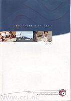 RAPPORT D'ACTIVITE - 2003