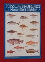 POISSONS PROFONDS DE NOUVELLE-CALEDONIE - POSTER