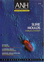 THE TALE OF WILLIAM WALL'S WHALE (in Australian Natural History - Volume 23, No. 8, 1991