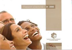 RAPPORT D'ACTIVITE - 2008