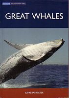 GREAT WHALES