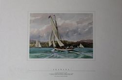 AKARANA - New Zealand's Bicentennial Gift to Australia  (colour print)