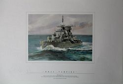 HMAS VAMPIRE - Daring Class Destroyer  (colour print)