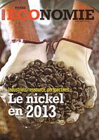 LE NICKEL EN 2013  (in Votre Economie - Hors S&eacute;rie)
