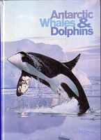 ANTARCTIC WHALES & DOLPHINS