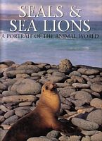 SEALS & SEA LIONS - A Portrait of the Animal World