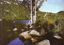 PERISCOPE: a view from the original Lake Pedder, by Professor Emeritus Geoff Parr