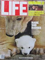 FALKLAND'S  GRAVEYARD OF SHIPS  (in Life - Volume 5, No. 6) 