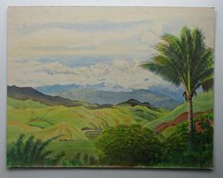 LANDSCAPE - ZENAG FROM MICK LEAHY'S HOUSE, LOOKING TOWARDS BULOLO, PNG