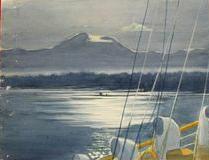 LANDSCAPE - MOONLIGHT MBENGA PASSAGE (From the Bridge)