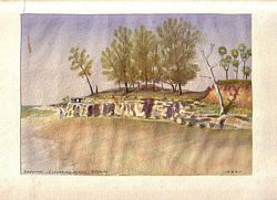 LANDSCAPE - DRIPSTONE - CASUARINA BEACH, DARWIN