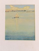 LANDSCAPE - MELVILLE BAY, GOVE PENINSULA, NORTHERN TERRITORY