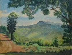 LANDSCAPE - CURRUMBIN VALLEY