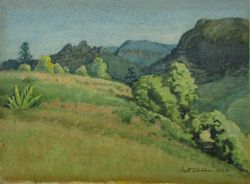 LANDSCAPE - THE COUGALS