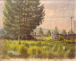 LANDSCAPE - TOMEWIN AREA