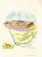 MENU - S.S. NORTHERN STAR - Voyage 25, 1968