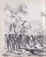 NOUVELLE CALEDONIE - NEW CALEDONIAN