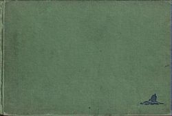 LINERS AND THEIR RECOGNITION