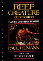 REEF CREATURE IDENTIFICATION:  FLORIDA - CARIBBEAN - BAHAMAS