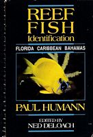 REEF FISH IDENTIFICATION:  FLORIDA - CARIBBEAN - BAHAMAS