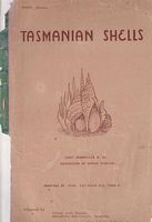 TASMANIAN SHELLS
