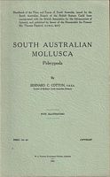 SOUTH AUSTRALIAN MOLLUSCA - PELECYPODA