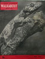 WALKABOUT - Australian Geographical Magazine - Volume16, No.5 - May, 1950