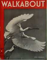 WALKABOUT - Australia's Geographic Magazine - Volume 7, No.11, September, 1941